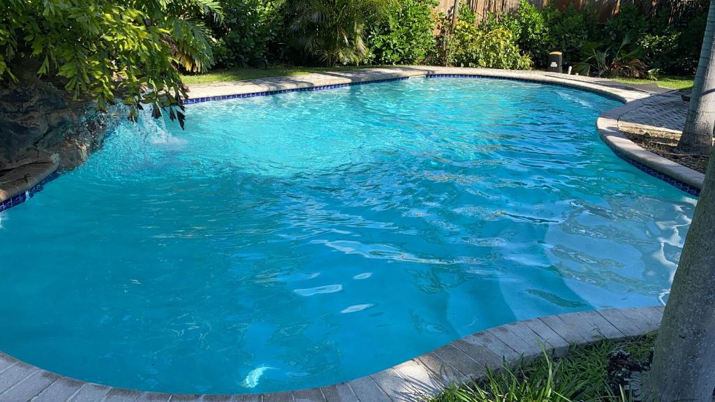 Pool Cleaning Preview